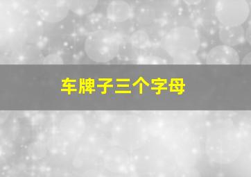 车牌子三个字母