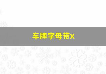 车牌字母带x