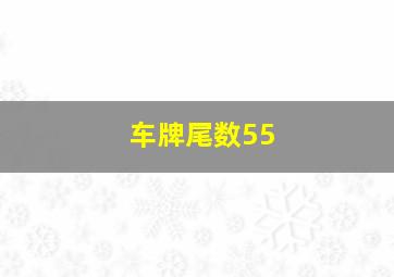 车牌尾数55