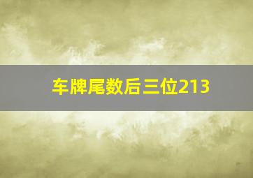 车牌尾数后三位213