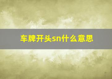 车牌开头sn什么意思