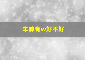 车牌有w好不好