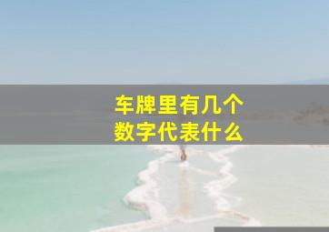 车牌里有几个数字代表什么