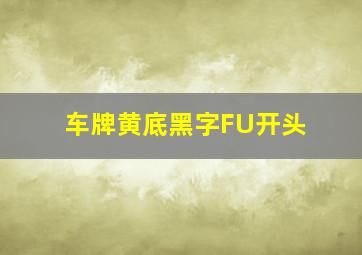 车牌黄底黑字FU开头