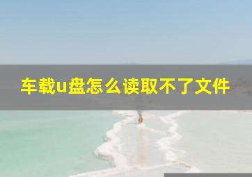 车载u盘怎么读取不了文件