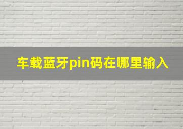 车载蓝牙pin码在哪里输入