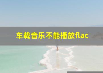 车载音乐不能播放flac