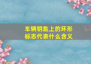 车辆钥匙上的环形标志代表什么含义