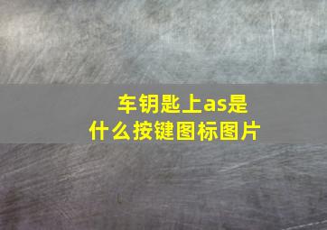 车钥匙上as是什么按键图标图片