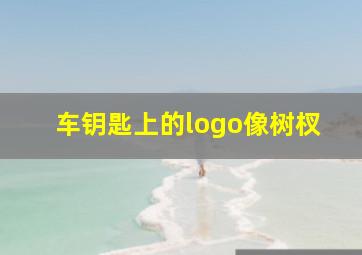 车钥匙上的logo像树杈