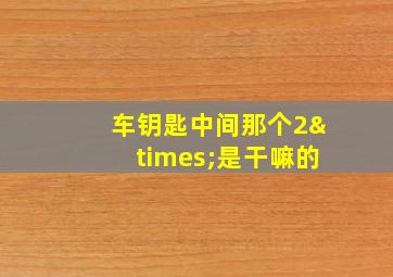 车钥匙中间那个2×是干嘛的