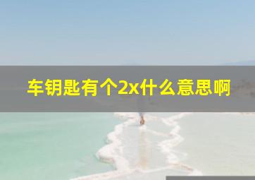 车钥匙有个2x什么意思啊