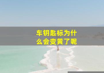 车钥匙标为什么会变黄了呢