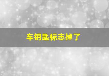 车钥匙标志掉了