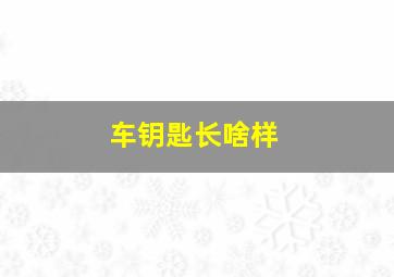 车钥匙长啥样