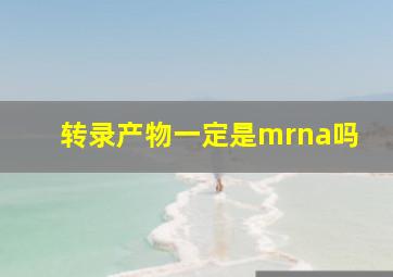 转录产物一定是mrna吗