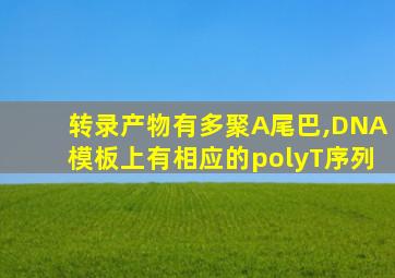 转录产物有多聚A尾巴,DNA模板上有相应的polyT序列