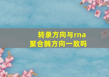 转录方向与rna聚合酶方向一致吗