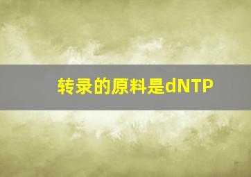 转录的原料是dNTP