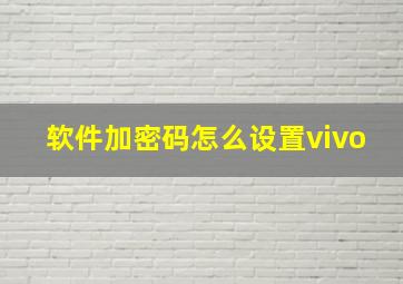 软件加密码怎么设置vivo