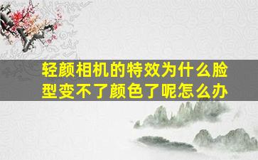 轻颜相机的特效为什么脸型变不了颜色了呢怎么办