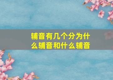 辅音有几个分为什么辅音和什么辅音