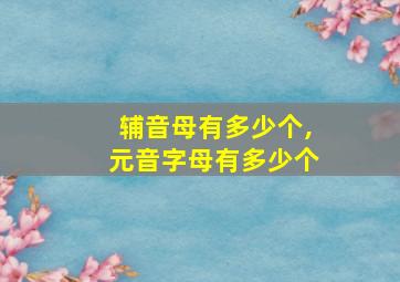 辅音母有多少个,元音字母有多少个