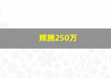 辉腾250万