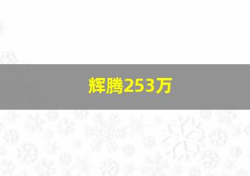 辉腾253万