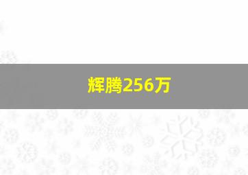 辉腾256万