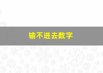 输不进去数字