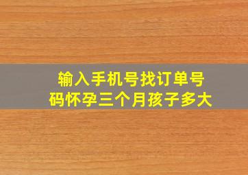 输入手机号找订单号码怀孕三个月孩子多大