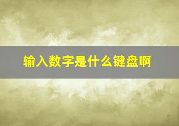 输入数字是什么键盘啊