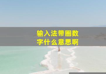 输入法带圈数字什么意思啊