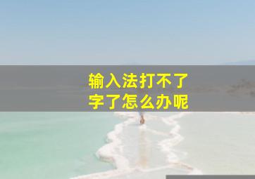 输入法打不了字了怎么办呢