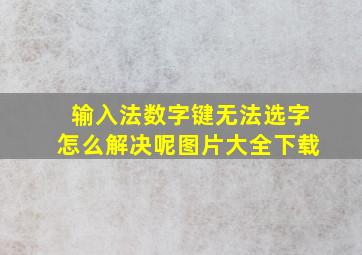 输入法数字键无法选字怎么解决呢图片大全下载