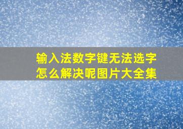 输入法数字键无法选字怎么解决呢图片大全集