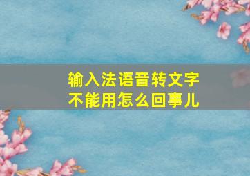 输入法语音转文字不能用怎么回事儿