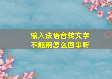 输入法语音转文字不能用怎么回事呀