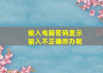 输入电脑密码显示输入不正确咋办呢