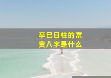 辛巳日柱的富贵八字是什么