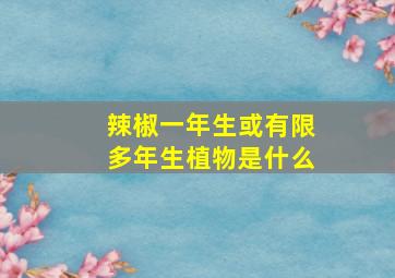 辣椒一年生或有限多年生植物是什么