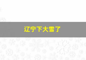 辽宁下大雪了