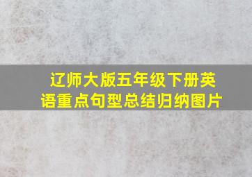 辽师大版五年级下册英语重点句型总结归纳图片