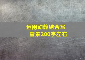 运用动静结合写雪景200字左右