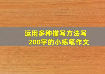 运用多种描写方法写200字的小练笔作文