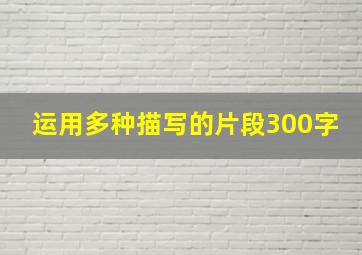 运用多种描写的片段300字