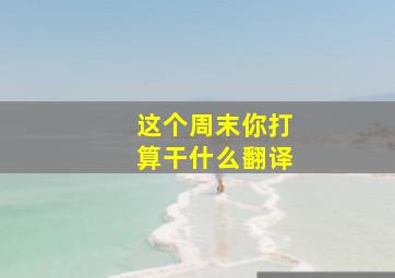 这个周末你打算干什么翻译