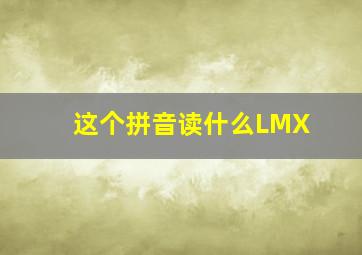 这个拼音读什么LMX