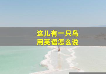 这儿有一只鸟用英语怎么说